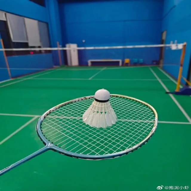 2024世界杯预选赛动态分析各大洲球队备战全景